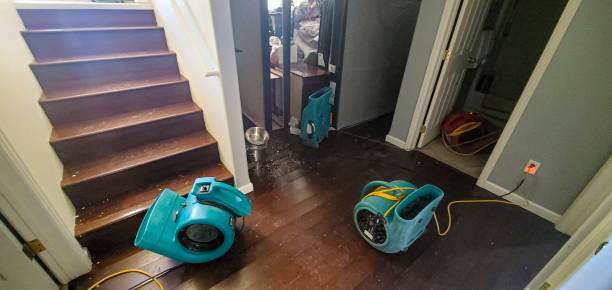 Best Mold removal after water damage  in Bonny Doon, CA