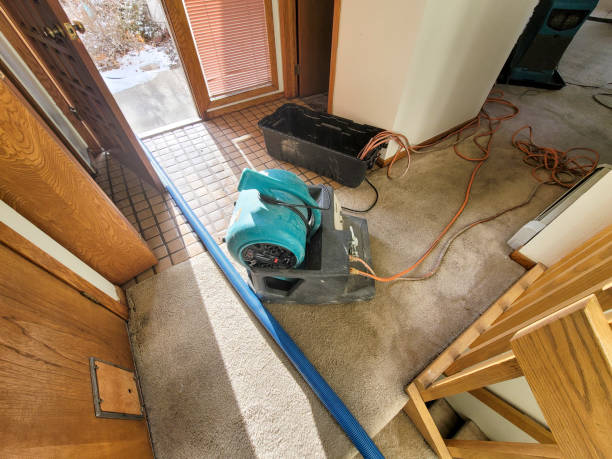 Best Commercial water damage restoration  in Bonny Doon, CA