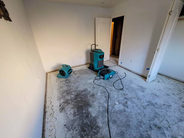 Best Flooded house restoration  in Bonny Doon, CA