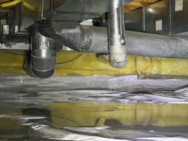 Best Basement water damage restoration  in Bonny Doon, CA