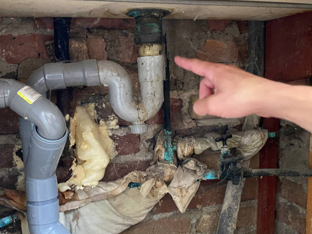 Best Water damage cleanup near me  in Bonny Doon, CA