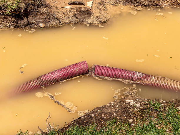 Best Carpet water damage restoration  in Bonny Doon, CA