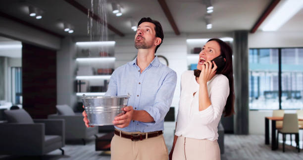 Trusted Bonny Doon, CA Water damage restoration Experts